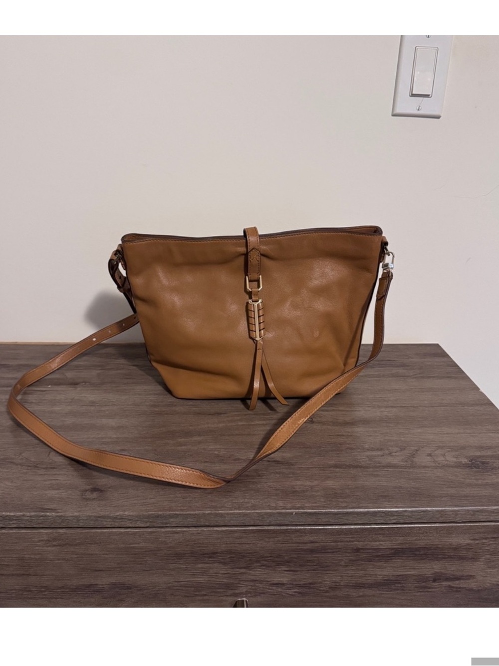 Stella & Dot Tan Covet Crossbody